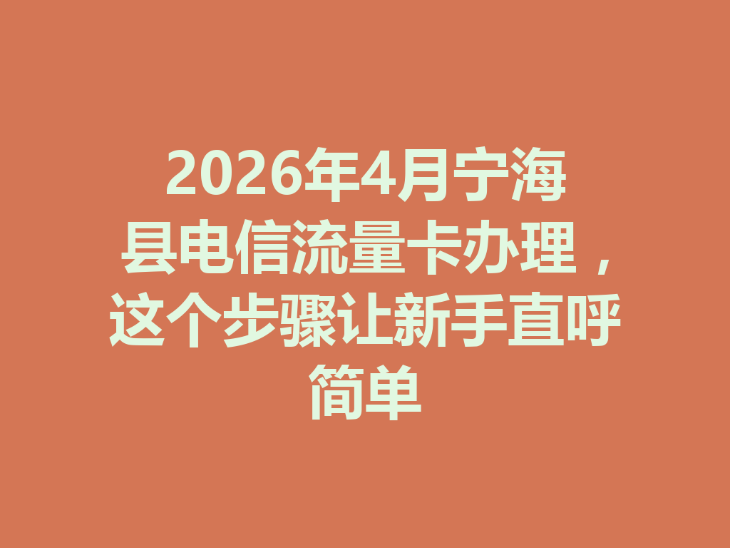2026年4月宁海县电信流量卡办理，这个步骤让新手直呼简单