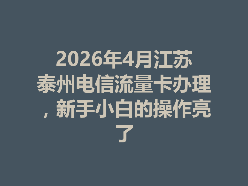 2026年4月江苏泰州电信流量卡办理，新手小白的操作亮了