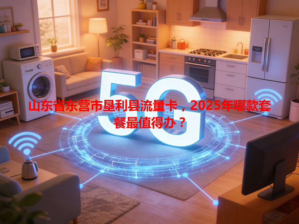 山东省东营市垦利县流量卡，2025年哪款套餐最值得办？