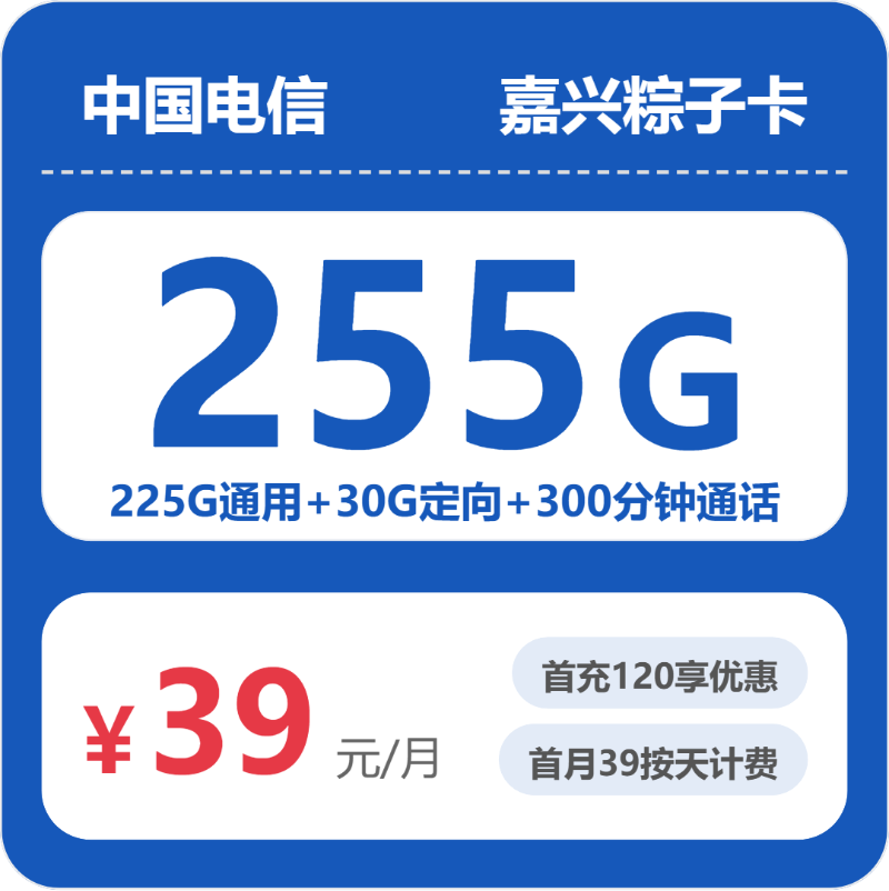 电信嘉兴粽子卡39元每月225G通用+30G定向+300分钟通话