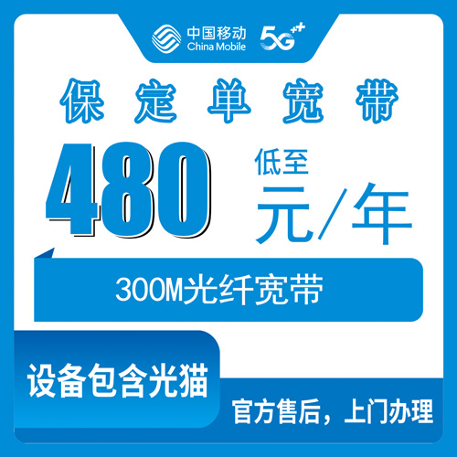2026年10月保定市移动单宽带怎么选?办理时要注意哪些关键细节?