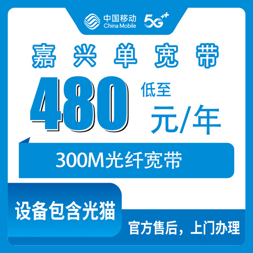 2026年10月下旬浙江省嘉兴桐乡市移动单宽带怎么选？480元包年300M资费与安装细节聊聊